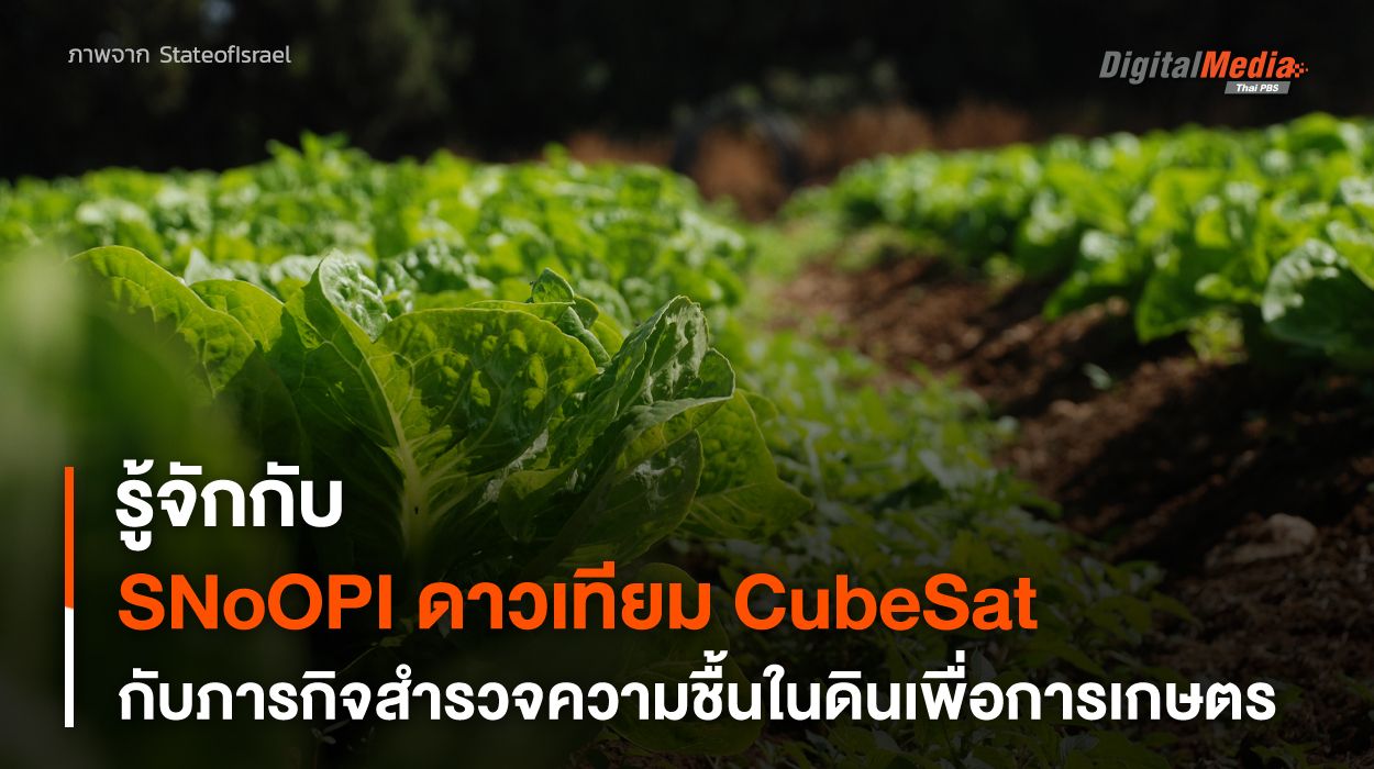 SNoOPI，CubeSat 卫星项目，调查土壤湿度 泰国 PBS NOW